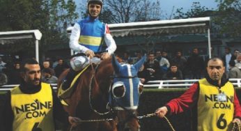 Erhan Yavuz Kimdir?