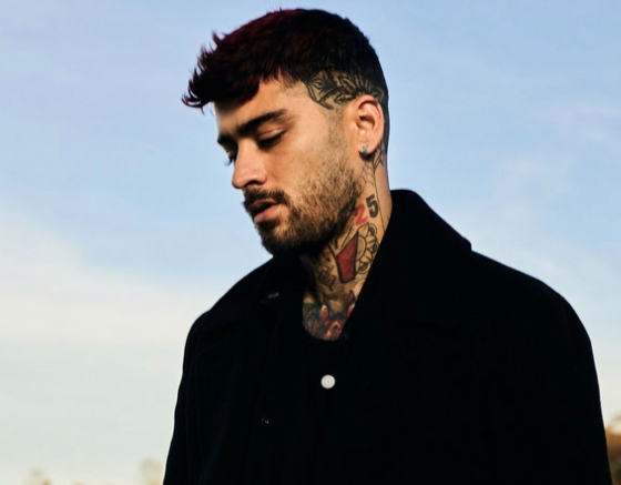 Zayn Malik Kimdir?