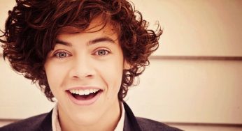 Harry Styles Kimdir?