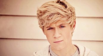 Niall Horan Kimdir?