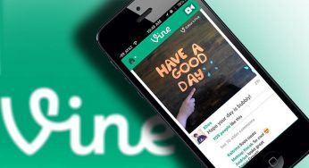 Vine Nedir?