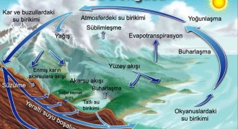 Su Döngüsü