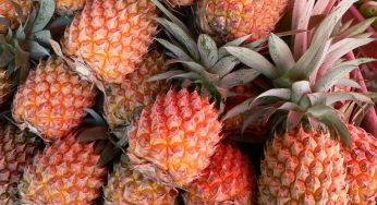 Ananas Meselesi Nedir?