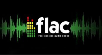 Flac Müzik Formatı Nedir?