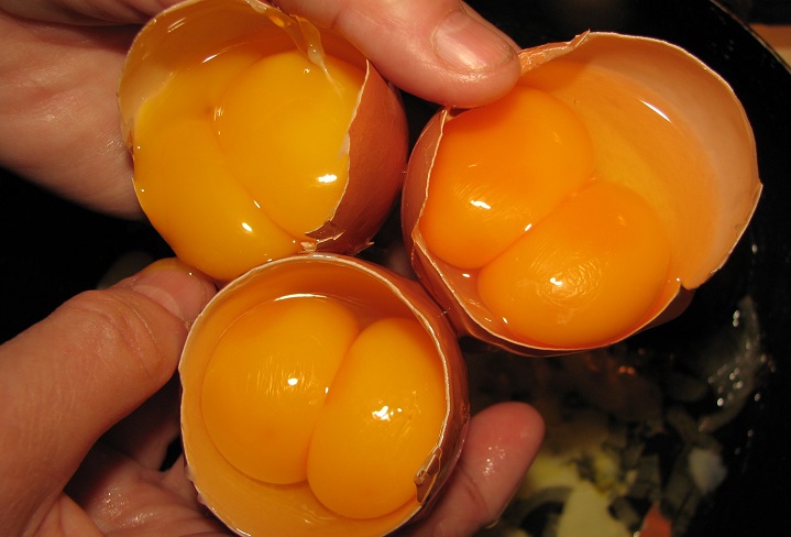 cift sarili uc yumurta
