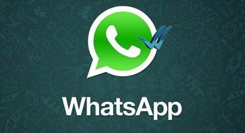 Whatsapp’ta Mavi Tık Nedir?