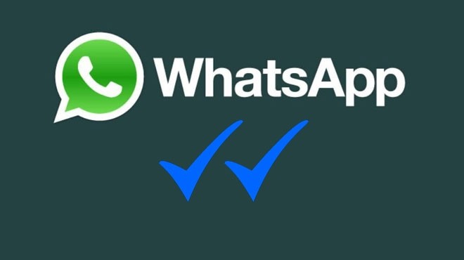 whatsapp mavi tik