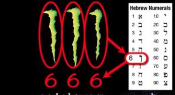 Monster Enerji Logosunun Anlamı Nedir?