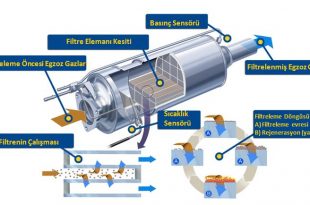 dpf nedir dpf iptali nedir