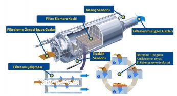 DPF Nedir DPF İptali Nedir?
