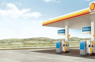 shell dynaflex teknolojisi nedir