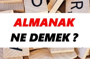 almanak 2020 ne demek