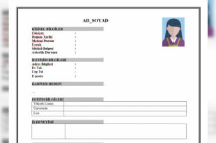 cv hazirlamanin puf noktalari