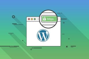 wordpress sitelerde ssl sertifikasi kullanmak gerekli mi