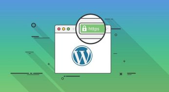 WordPress Sitelerde SSL Sertifikası Kullanmak Gerekli Mi?