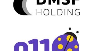 dmsf holding kimin kime ait sahibi kim
