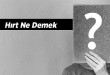 hirt ne demek anlami nedir kurtce ve argo anlami nedir hirt sorunu ne demek