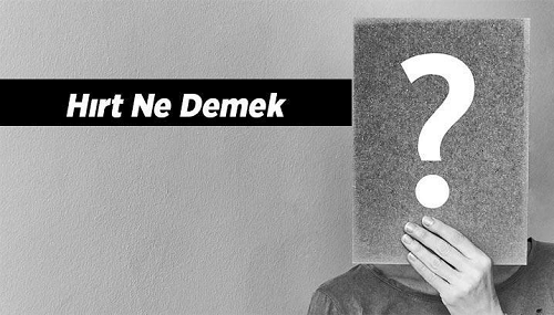 hirt ne demek anlami nedir kurtce ve argo anlami nedir hirt sorunu ne demek